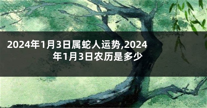 2024年1月3日属蛇人运势,2024年1月3日农历是多少