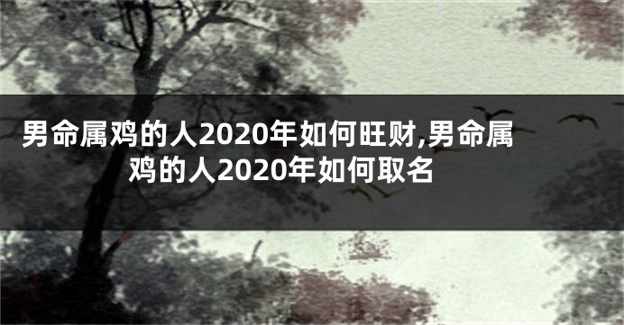 男命属鸡的人2020年如何旺财,男命属鸡的人2020年如何取名