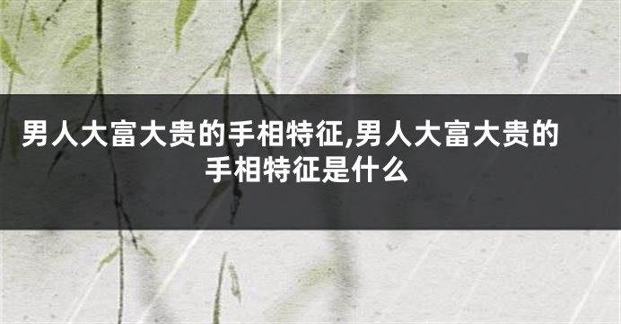 男人大富大贵的手相特征,男人大富大贵的手相特征是什么