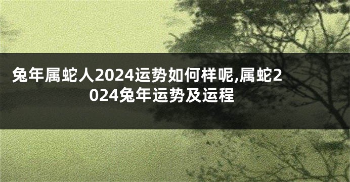 兔年属蛇人2024运势如何样呢,属蛇2024兔年运势及运程