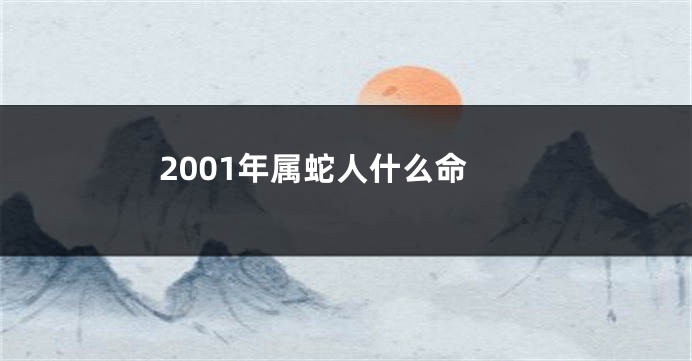 2001年属蛇人什么命