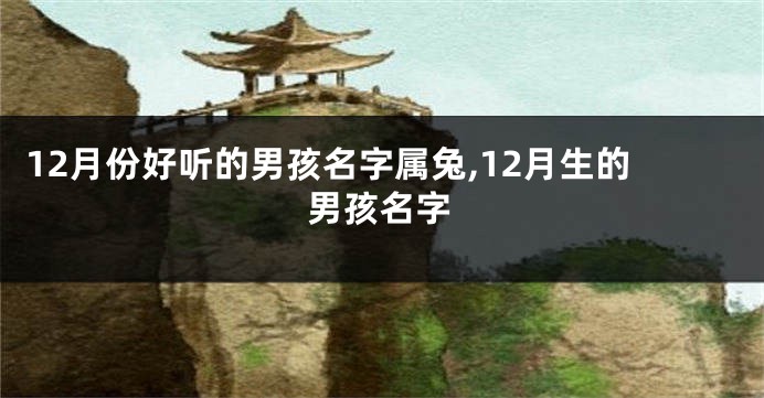 12月份好听的男孩名字属兔,12月生的男孩名字