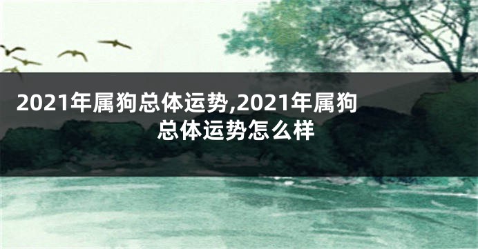 2021年属狗总体运势,2021年属狗总体运势怎么样