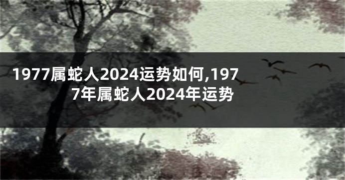 1977属蛇人2024运势如何,1977年属蛇人2024年运势