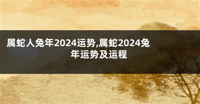 属蛇人兔年2024运势,属蛇2024兔年运势及运程