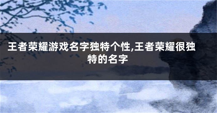 王者荣耀游戏名字独特个性,王者荣耀很独特的名字