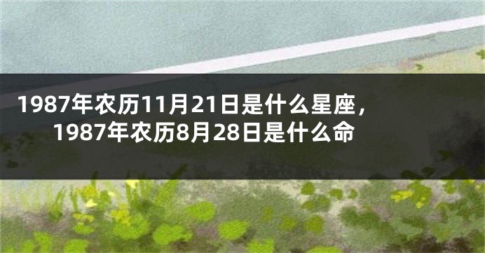 1987年农历11月21日是什么星座，1987年农历8月28日是什么命