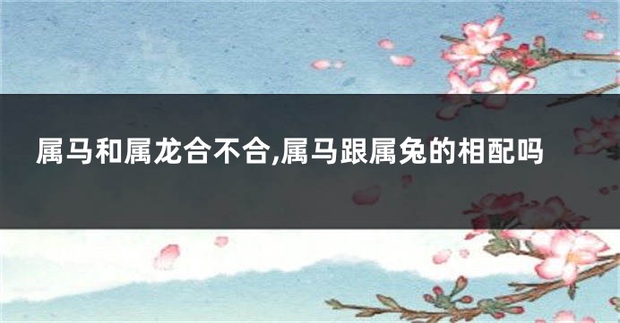 属马和属龙合不合,属马跟属兔的相配吗