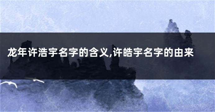 龙年许浩宇名字的含义,许皓宇名字的由来