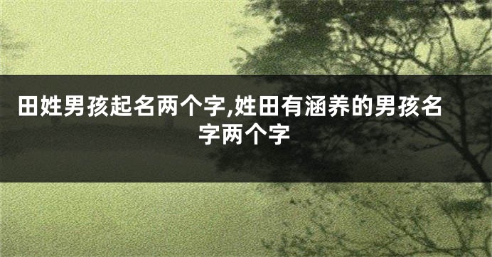 田姓男孩起名两个字,姓田有涵养的男孩名字两个字