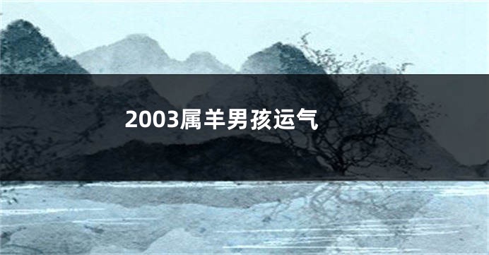 2003属羊男孩运气