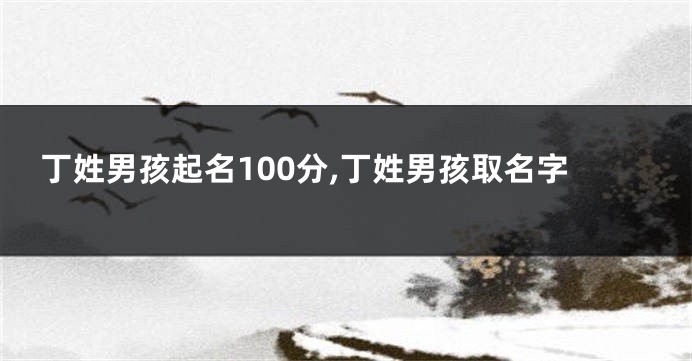 丁姓男孩起名100分,丁姓男孩取名字