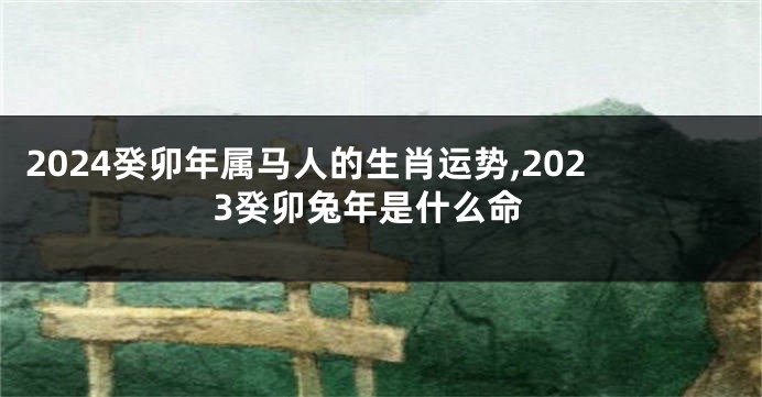 2024癸卯年属马人的生肖运势,2023癸卯兔年是什么命