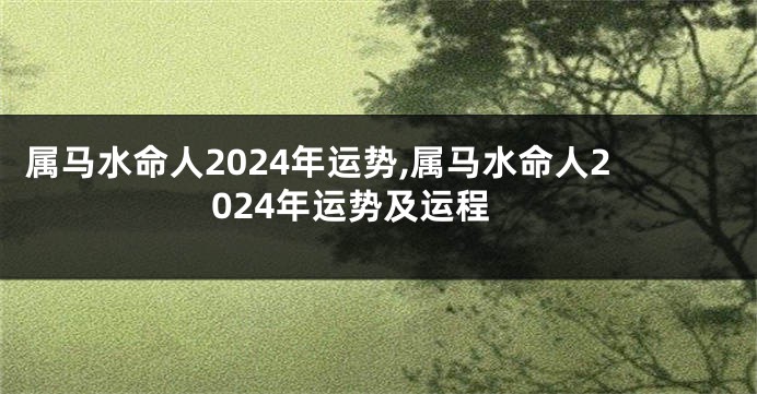 属马水命人2024年运势,属马水命人2024年运势及运程