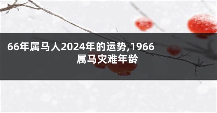 66年属马人2024年的运势,1966属马灾难年龄