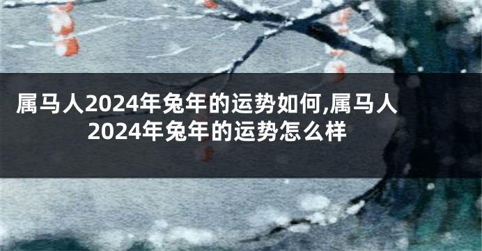 属马人2024年兔年的运势如何,属马人2024年兔年的运势怎么样