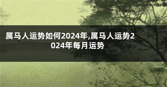 属马人运势如何2024年,属马人运势2024年每月运势