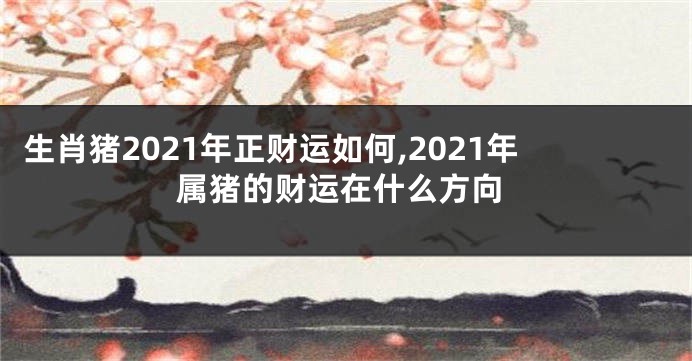 生肖猪2021年正财运如何,2021年属猪的财运在什么方向