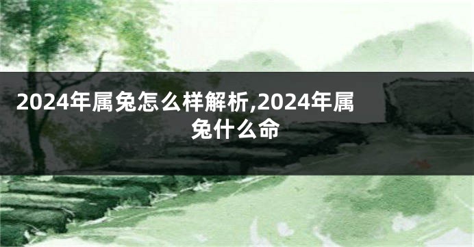 2024年属兔怎么样解析,2024年属兔什么命