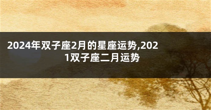 2024年双子座2月的星座运势,2021双子座二月运势