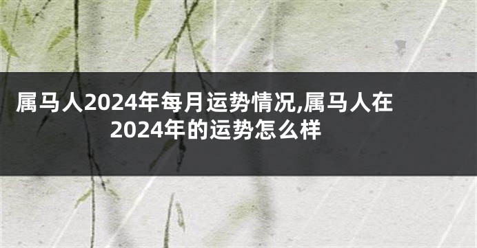 属马人2024年每月运势情况,属马人在2024年的运势怎么样