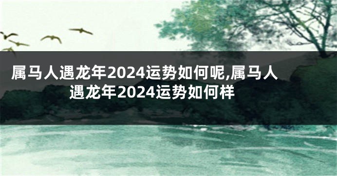 属马人遇龙年2024运势如何呢,属马人遇龙年2024运势如何样