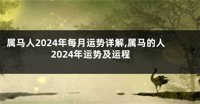 属马人2024年每月运势详解,属马的人2024年运势及运程