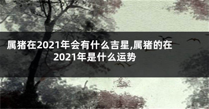 属猪在2021年会有什么吉星,属猪的在2021年是什么运势