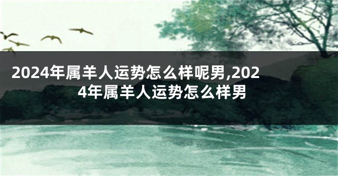 2024年属羊人运势怎么样呢男,2024年属羊人运势怎么样男