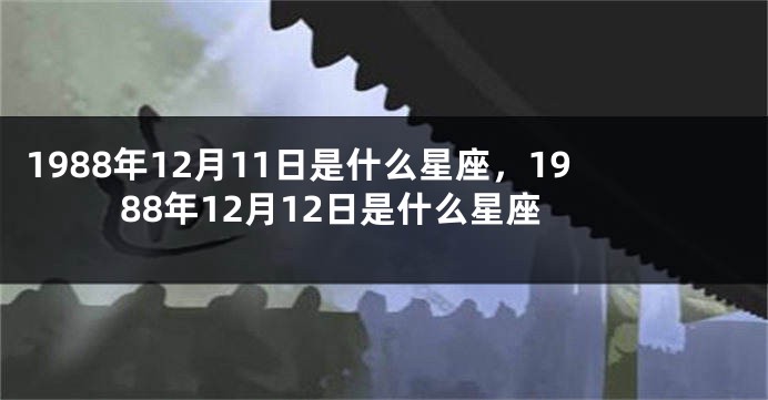 1988年12月11日是什么星座，1988年12月12日是什么星座