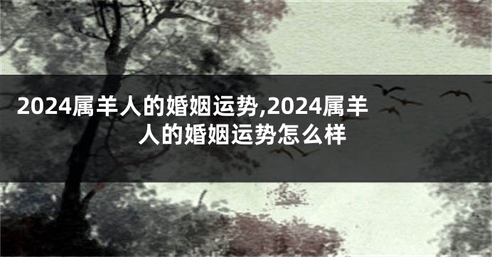 2024属羊人的婚姻运势,2024属羊人的婚姻运势怎么样