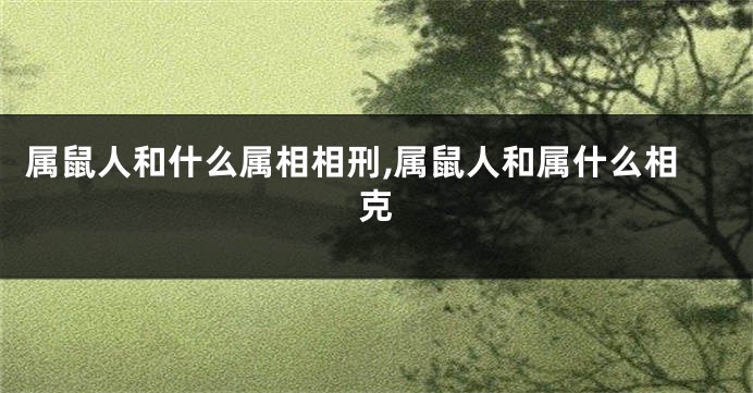 属鼠人和什么属相相刑,属鼠人和属什么相克