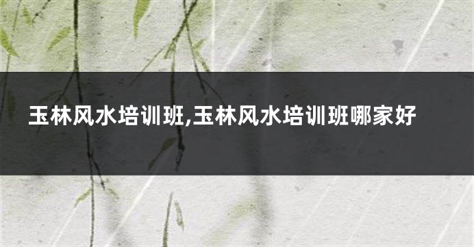 玉林风水培训班,玉林风水培训班哪家好