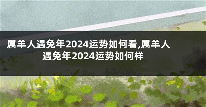 属羊人遇兔年2024运势如何看,属羊人遇兔年2024运势如何样