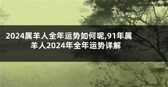 2024属羊人全年运势如何呢,91年属羊人2024年全年运势详解