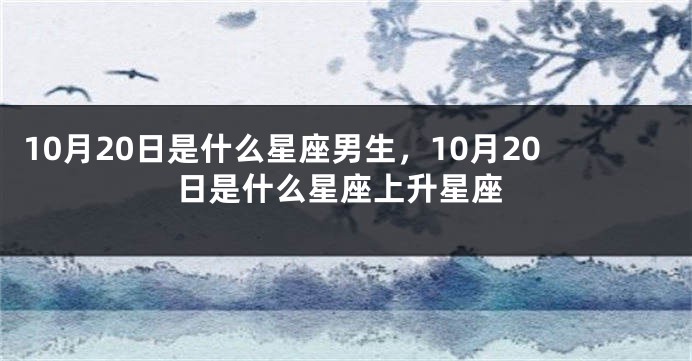 10月20日是什么星座男生，10月20日是什么星座上升星座