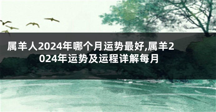 属羊人2024年哪个月运势最好,属羊2024年运势及运程详解每月