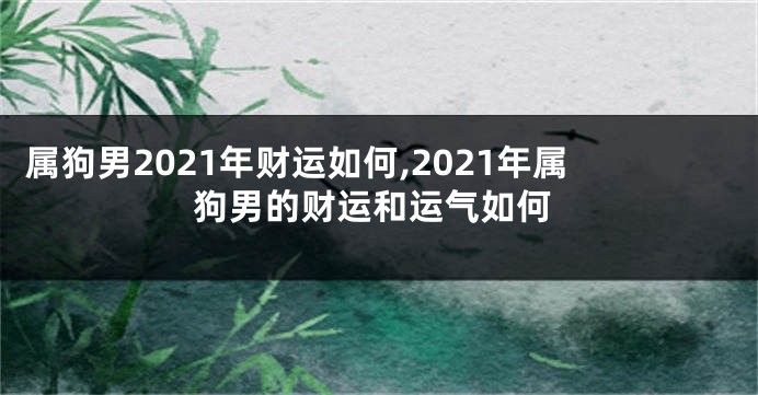 属狗男2021年财运如何,2021年属狗男的财运和运气如何