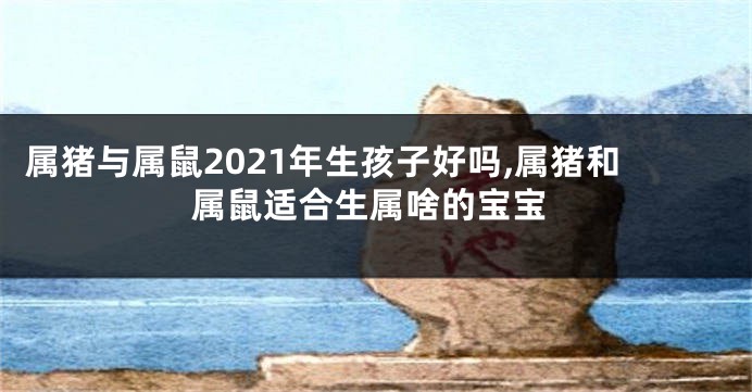 属猪与属鼠2021年生孩子好吗,属猪和属鼠适合生属啥的宝宝