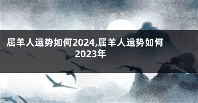 属羊人运势如何2024,属羊人运势如何2023年