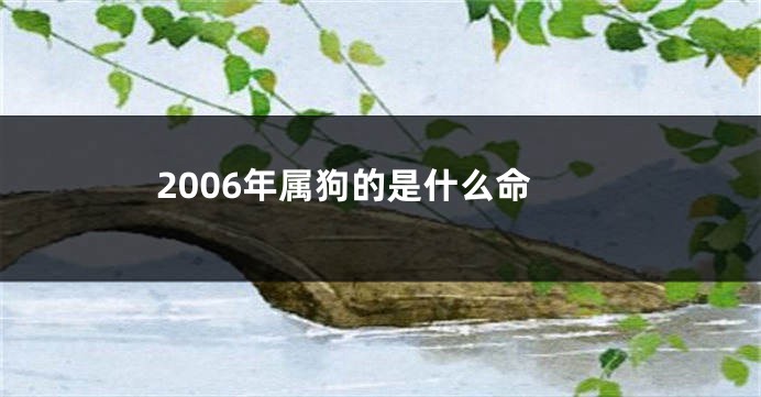 2006年属狗的是什么命