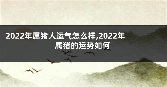 2022年属猪人运气怎么样,2022年属猪的运势如何