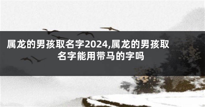 属龙的男孩取名字2024,属龙的男孩取名字能用带马的字吗