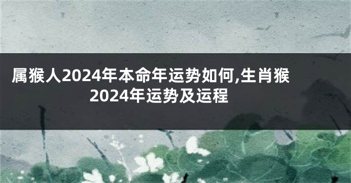 属猴人2024年本命年运势如何,生肖猴2024年运势及运程