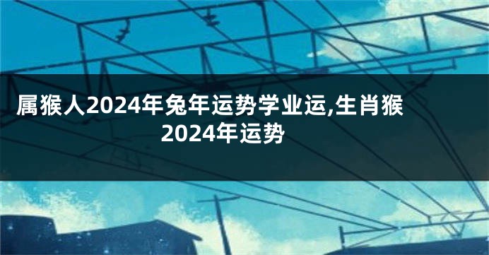 属猴人2024年兔年运势学业运,生肖猴2024年运势