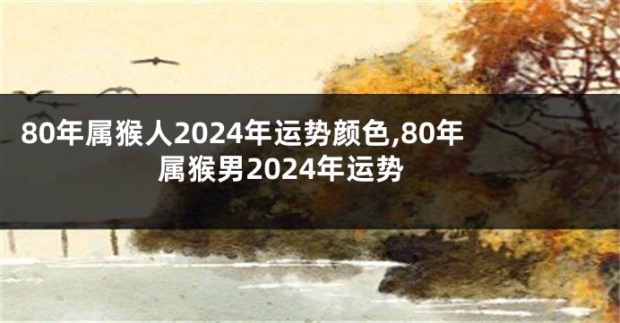 80年属猴人2024年运势颜色,80年属猴男2024年运势