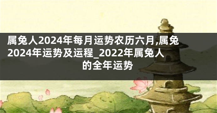 属兔人2024年每月运势农历六月,属兔2024年运势及运程_2022年属兔人的全年运势