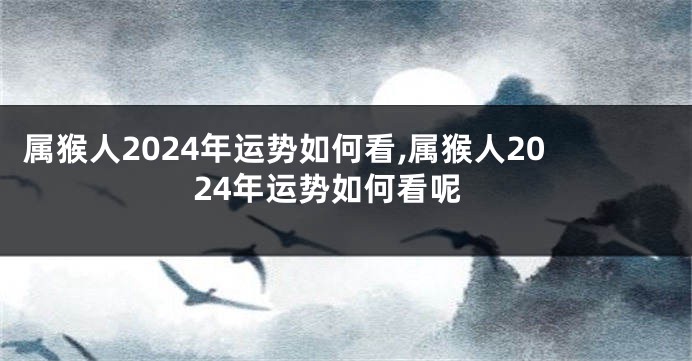 属猴人2024年运势如何看,属猴人2024年运势如何看呢