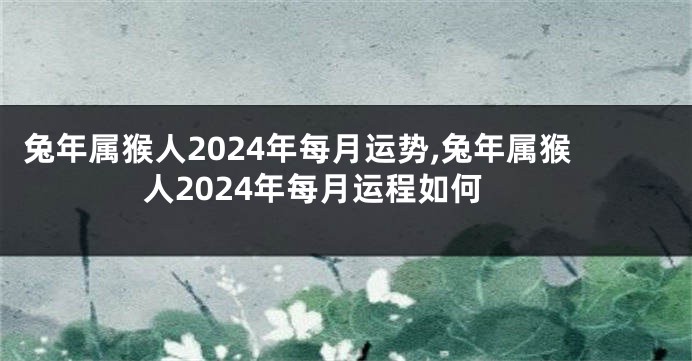 兔年属猴人2024年每月运势,兔年属猴人2024年每月运程如何