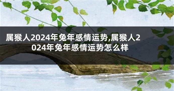 属猴人2024年兔年感情运势,属猴人2024年兔年感情运势怎么样